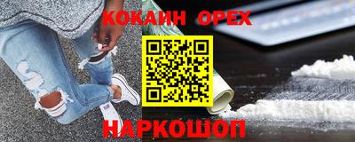стафф Кингисепп