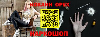 стафф Кингисепп