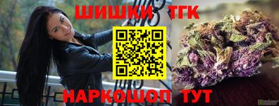 стафф Кингисепп