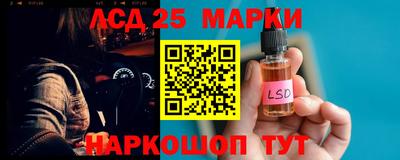 стафф Кингисепп