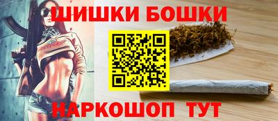 стафф Кингисепп