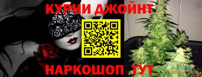 стафф Кингисепп