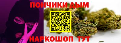 стафф Кингисепп