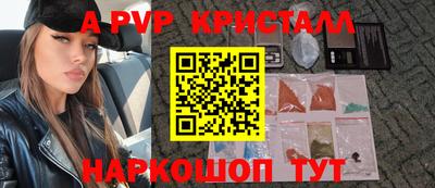 стафф Кингисепп